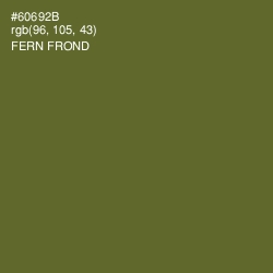 #60692B - Fern Frond Color Image