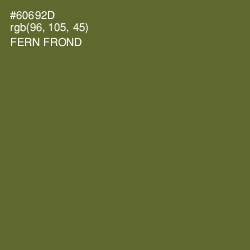 #60692D - Fern Frond Color Image