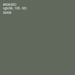 #60695C - Siam Color Image