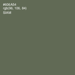 #606A54 - Siam Color Image