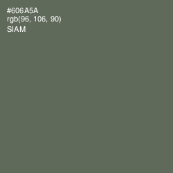 #606A5A - Siam Color Image