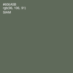 #606A5B - Siam Color Image