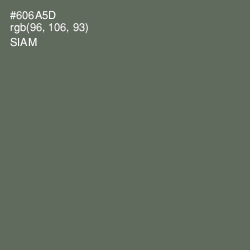 #606A5D - Siam Color Image