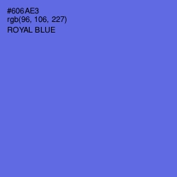 #606AE3 - Royal Blue Color Image