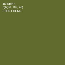 #606B2D - Fern Frond Color Image