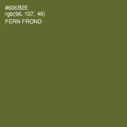 #606B2E - Fern Frond Color Image