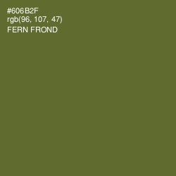 #606B2F - Fern Frond Color Image