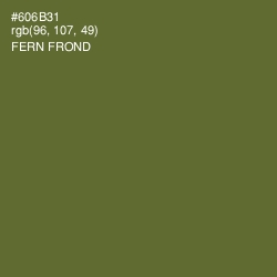 #606B31 - Fern Frond Color Image