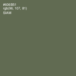 #606B51 - Siam Color Image