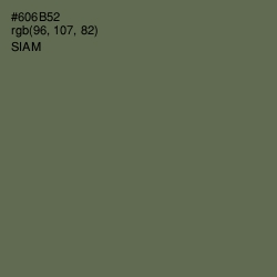 #606B52 - Siam Color Image