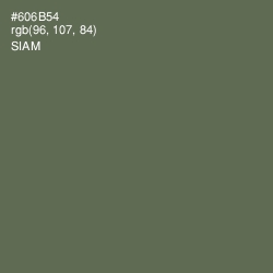 #606B54 - Siam Color Image