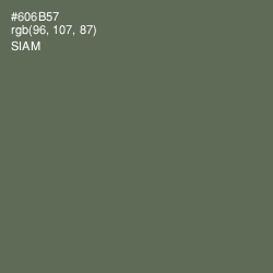 #606B57 - Siam Color Image