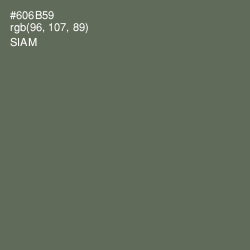 #606B59 - Siam Color Image