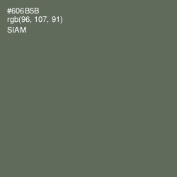 #606B5B - Siam Color Image