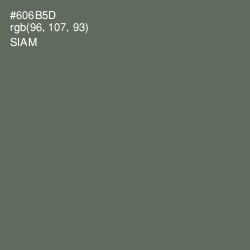 #606B5D - Siam Color Image