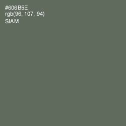 #606B5E - Siam Color Image