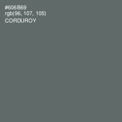 #606B69 - Corduroy Color Image