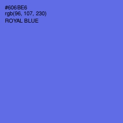 #606BE6 - Royal Blue Color Image