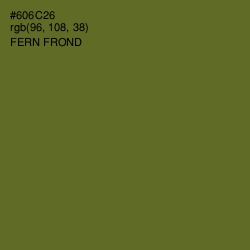 #606C26 - Fern Frond Color Image