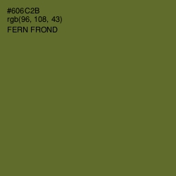 #606C2B - Fern Frond Color Image