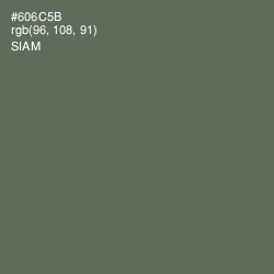 #606C5B - Siam Color Image