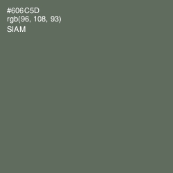 #606C5D - Siam Color Image