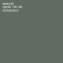 #606C62 - Corduroy Color Image