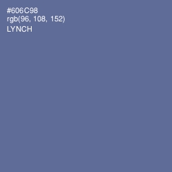 #606C98 - Lynch Color Image