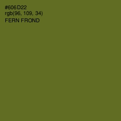 #606D22 - Fern Frond Color Image