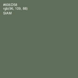 #606D58 - Siam Color Image