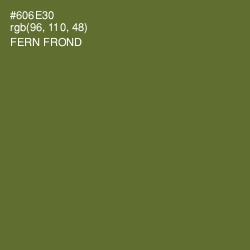#606E30 - Fern Frond Color Image
