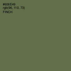 #606E49 - Finch Color Image