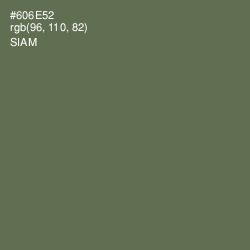 #606E52 - Siam Color Image