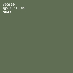 #606E54 - Siam Color Image