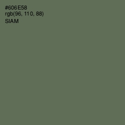 #606E58 - Siam Color Image