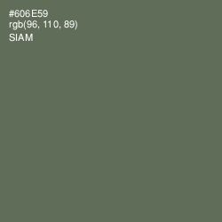 #606E59 - Siam Color Image