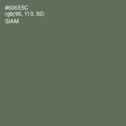 #606E5C - Siam Color Image