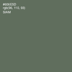 #606E5D - Siam Color Image