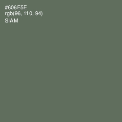 #606E5E - Siam Color Image