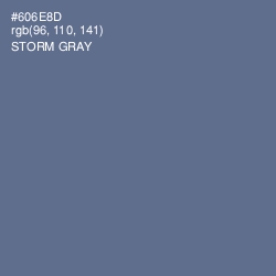 #606E8D - Storm Gray Color Image