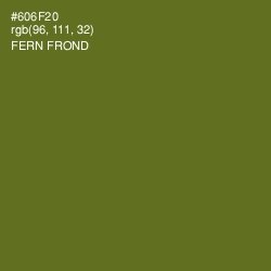 #606F20 - Fern Frond Color Image