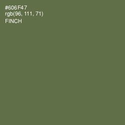 #606F47 - Finch Color Image