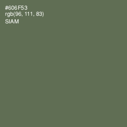 #606F53 - Siam Color Image