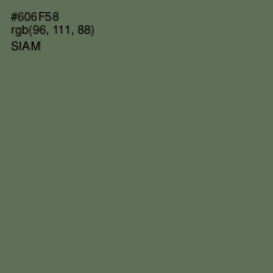 #606F58 - Siam Color Image