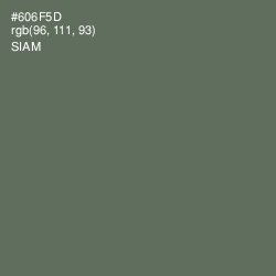 #606F5D - Siam Color Image