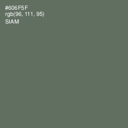 #606F5F - Siam Color Image