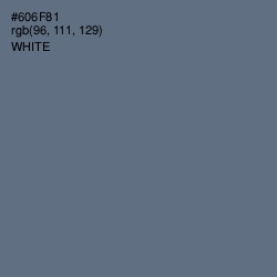 #606F81 - Pale Sky Color Image