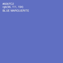 #606FC2 - Blue Marguerite Color Image