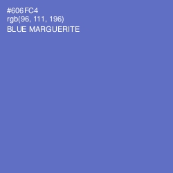 #606FC4 - Blue Marguerite Color Image