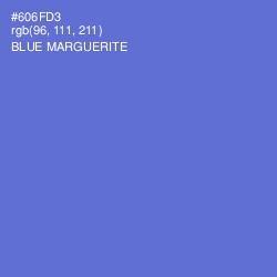 #606FD3 - Blue Marguerite Color Image